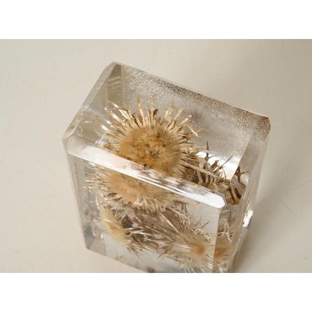 Gold Acrylic Glass Paperweight with Encased Flowers by Pierre Giraudon, France, 1970s For Sale - Image 8 of 14