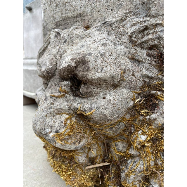 Authentic 19th Century French Carved Stone Lion Fountain Element For Sale - Image 11 of 17