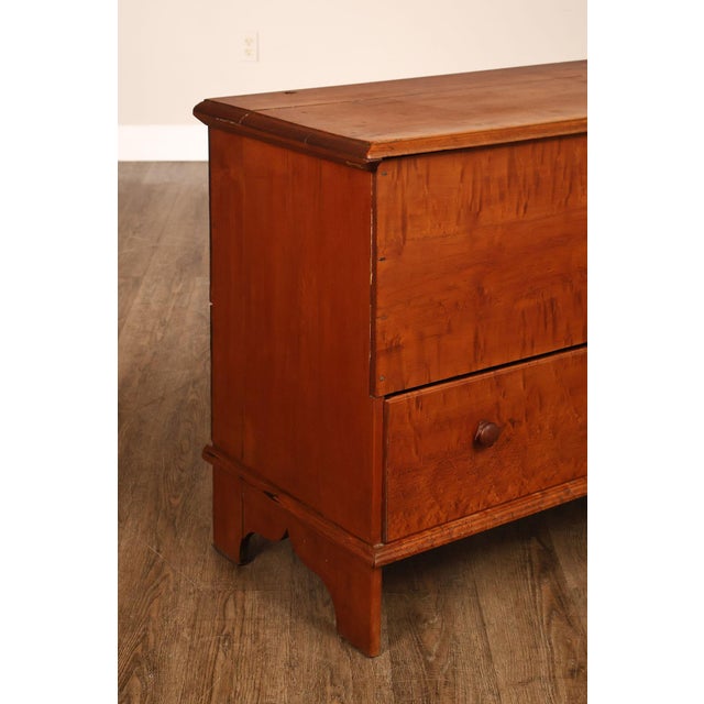 Antique American Country Birdseye Maple Blanket Chest With Lower Drawer For Sale - Image 10 of 18