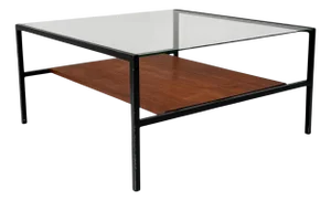Mid-Century Modern Coffee Table with Glass Top in the style of Cees Braakman, 1950s