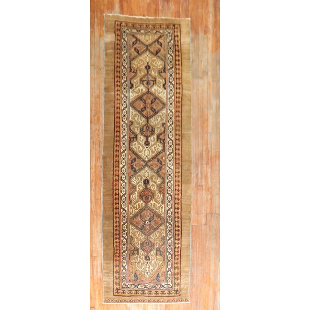Late 19th Century Camel Hair Runner - 3'8" x 11' For Sale - Image 17 of 18