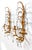 Hollywood Regency Pair of Vintage Italian Gold Gilt Tole Wall Sconces With Crystal Prisms – Hollywood Regency / Florentine For Sale - Image 3 of 9