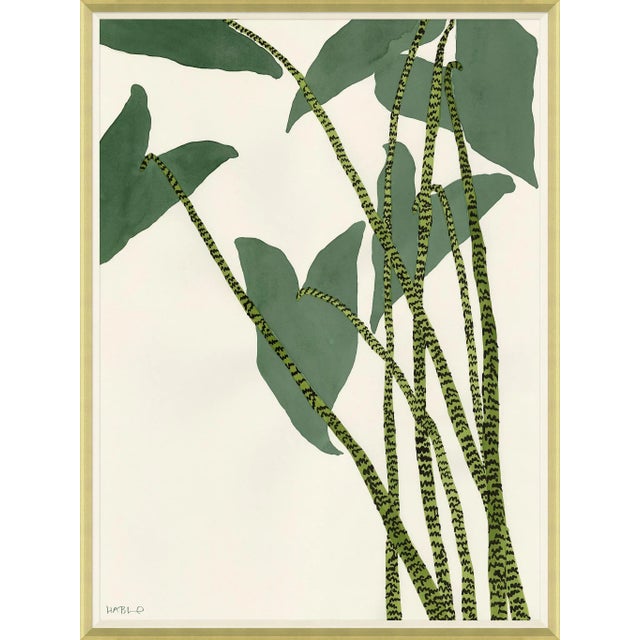 Contemporary Caladium Framed Art Print by Susan Hable For Sale - Image 3 of 3
