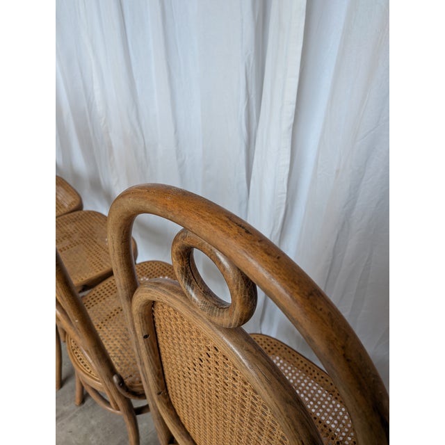 Vintage Bentwood and Cane Dining Chairs, Former Yugoslavia, 1970s, Set of 8 For Sale - Image 10 of 18