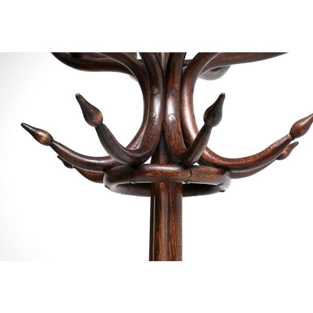 Antique Victorian Bentwood Coat Rack, 1880s For Sale - Image 6 of 10
