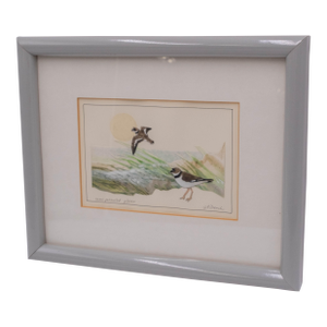 Semipalmated Plover Sea Bird Cut Out Art Watercolor Painting Signed
