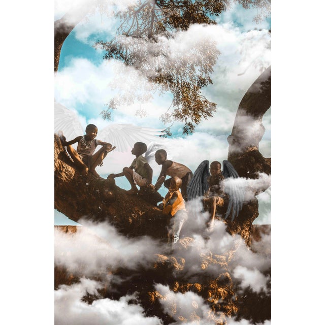 Contemporary Photography “The Wisdom Tree” by Douglas Condzo For Sale