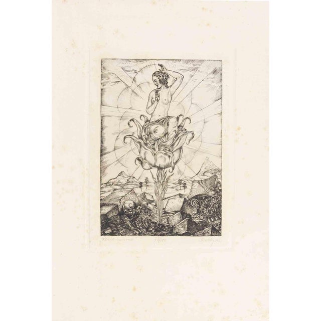 Josef von Diveki, Renaissance, Etching, 1920 For Sale - Image 4 of 4