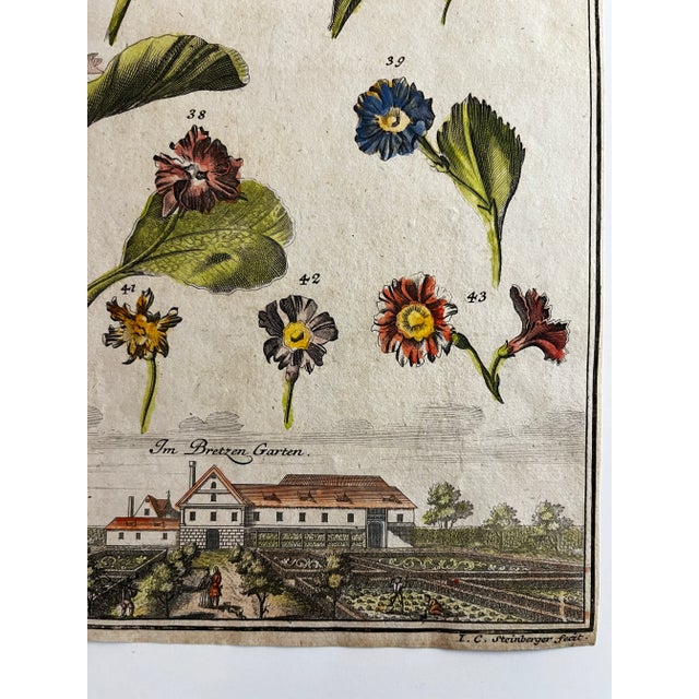 Marvelous 18th century hand-colored copper plate engraving depicting a country home surrounded by gardens with individual...