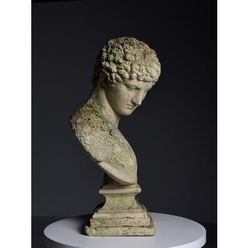 Bust of Hermes in Plaster For Sale - Image 10 of 18