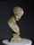 Bust of Hermes in Plaster For Sale - Image 10 of 18