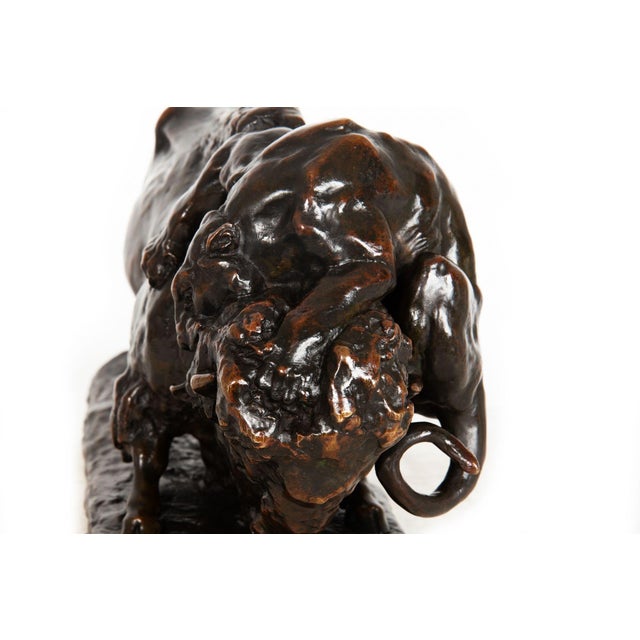 Fine Antique French Bronze Sculpture of Bison and Jaguar by Georges Gardet For Sale - Image 11 of 18