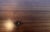 Console Table by Maria Yee for Gumps California For Sale - Image 9 of 11