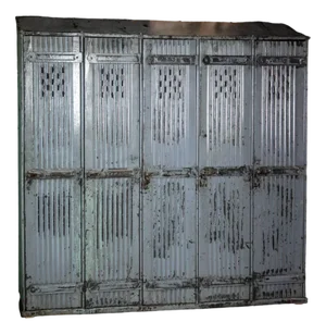 Vintage Metal Cabinet with 5 Doors from the Strafor Company, 1920s