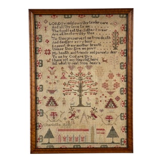 Exceptional English Regency Schoolgirl Needlework Sampler by Charlotte Rees, Age 11, Dated 1816 For Sale