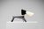 French Dog Lamp by Jean Boris Lacroix for Disderot, 1950 For Sale - Image 9 of 18