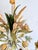 French Floral and Wheat Tole 6-Light Chandelier from Sofidis FlorArt, Late 20th Century For Sale - Image 17 of 18