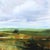 2020s Wishful Thinking - Large Sunny Day Landscape Skyscape Painting Original Artwork by Jodi Miller For Sale - Image 5 of 9