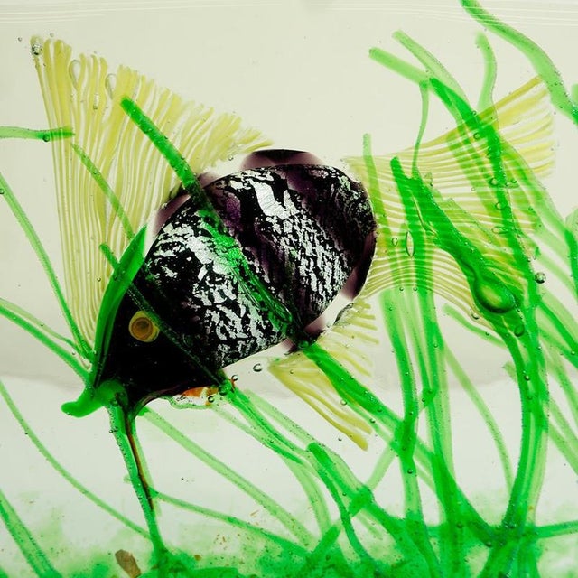 Glass Murano Glass Aquarium by Riccardo Licata for Gino Cenedese, Italy, 1960s For Sale - Image 7 of 11