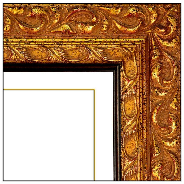 Chrysanthemum Melody, Francois Fressinier For Sale - Image 4 of 5