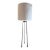 Christian Liaigre Liseron Floor Lamp For Sale