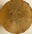 Gilt Sterling Potted Peony Flower Attributed to Janna Thomas for Tiffany & Co For Sale In Miami - Image 6 of 9
