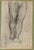 Anatomical studies is an original artwork realized by Luigi Galli in the late 19th Century. Pencil drawing on paper. The...