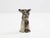 Baroque Coupe Glass with Wolfhound Head from Gucci, France, 1960s For Sale - Image 3 of 4