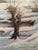 Karl Mons, Schwalm, Winter Landscape with Pollarded Willows, Snow, Ice and Evening Sun, Oil Painting on Canvas For Sale - Image 10 of 13