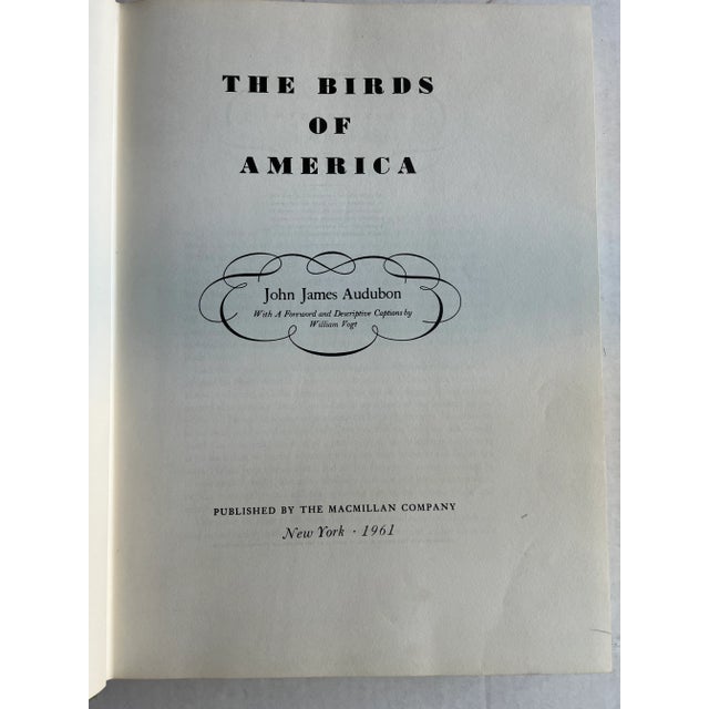 The Birds of America by John James Audubon, 1961, 3rd Print For Sale - Image 10 of 12