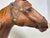 Horse Model in Leather For Sale - Image 3 of 14