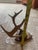 Brown 1948 Wall Hanging Vintage Antler Wall Hanging Plaque Mount With Velvet For Sale - Image 8 of 11