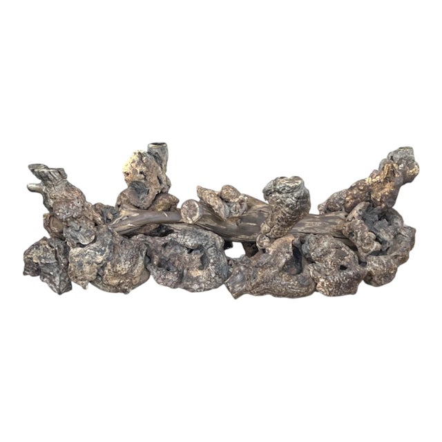 1960s Sculptural Burl Wood Root Coffee Table With Curved Glass Top For Sale - Image 9 of 10