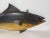 2010s Carved and Painted Tuna Fish Trade Sign For Sale - Image 5 of 10