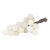 Italian White Alabaster Grapes XL For Sale