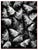 Ian Sanderson, Sardines, Photographic Fine Art Print, 1993 For Sale