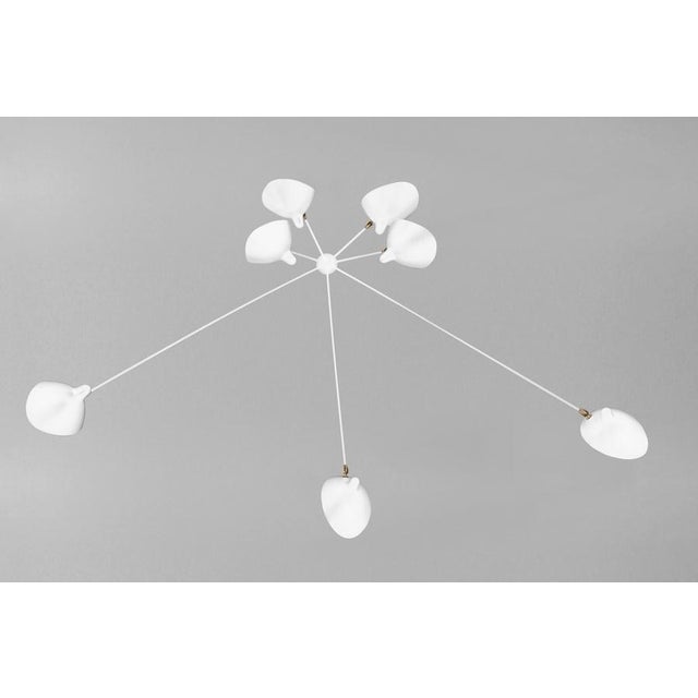 Wall ceiling lamp model 'seven fixed arms spider wall lamp' designed by serge mouille in 1953. manufactured by editions...