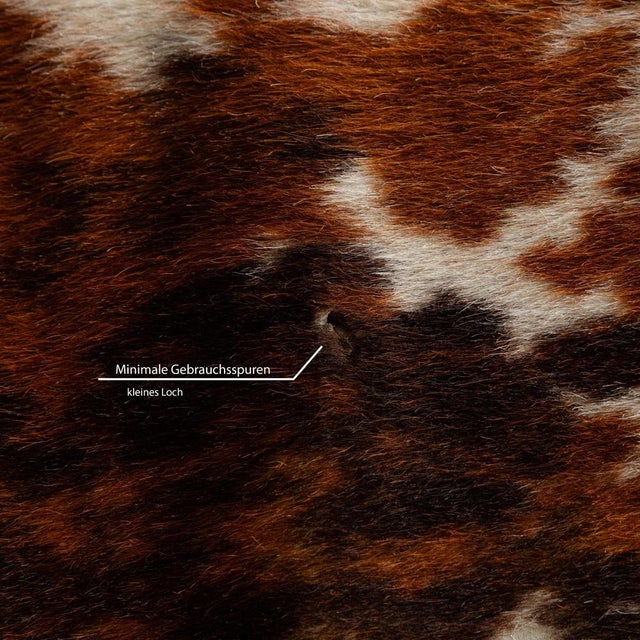 Brown Bauhaus LC 1 Fur Armchair in Brown Cowhide by Cassina Le for Corbusier For Sale - Image 8 of 17