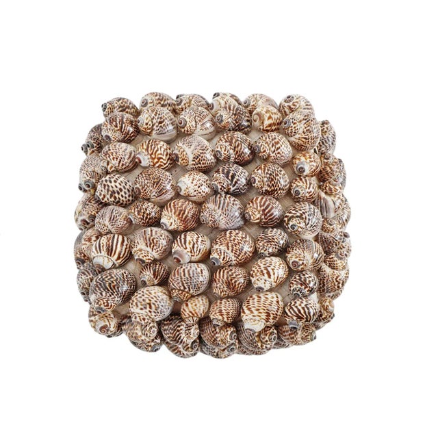 Vintage handmade Balinese small decorative box. Woven grass and covered in beautiful natural shells. Use on display and to...
