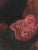 2020s Arborsimian Oil Painting by Ken Higaki For Sale - Image 5 of 6