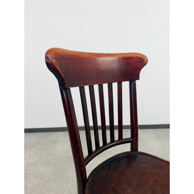 Brown Vintage Bentwood Dining Chairs from Thonet, 1920s, Set of 10 For Sale - Image 8 of 14