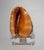 Coastal Red Helmet Tabletop Shell With Lucite Stand For Sale - Image 4 of 11