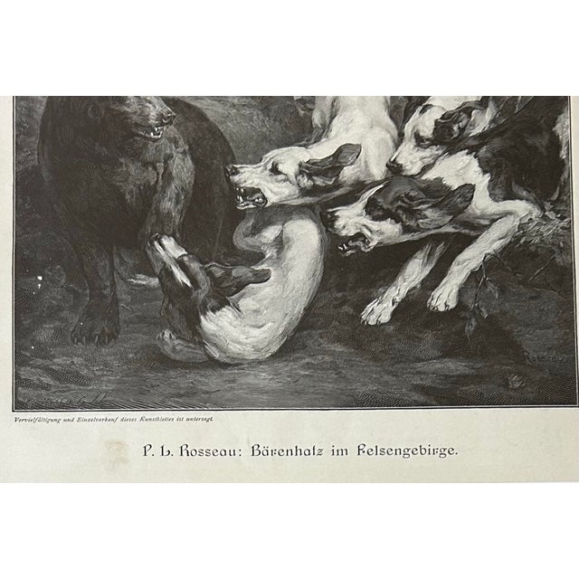 1900 - 1909 Antique German Print of Hunting Dogs and Bears in Birdseye Maple Frame For Sale - Image 5 of 6