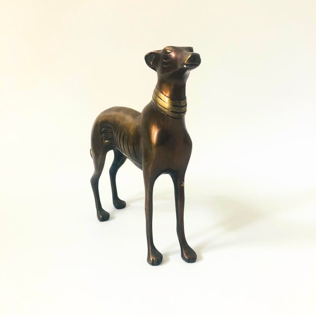 Mid-Century Modern Mid Century Bronze Greyhound For Sale - Image 3 of 8