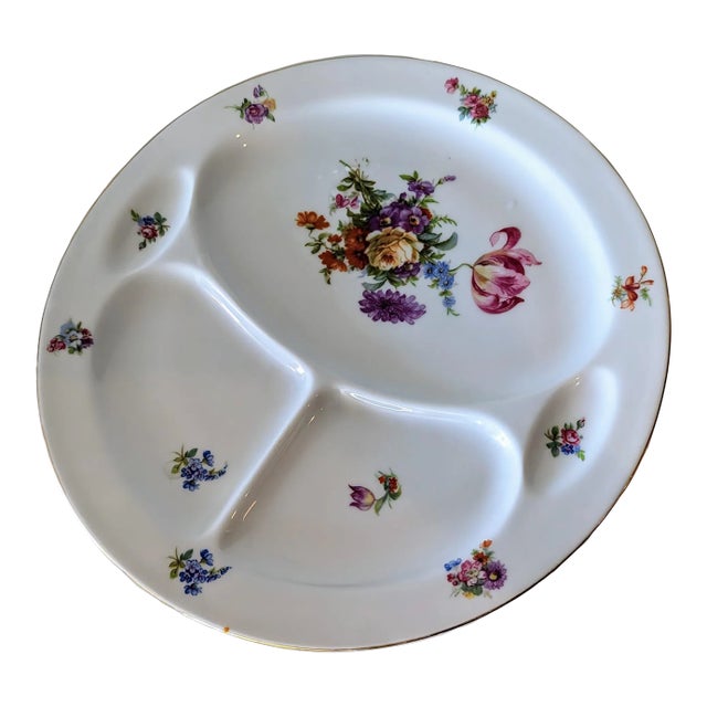 Antique Century Dresden Floral, Gold Trim by Pirkenhammer Large Plate For Sale