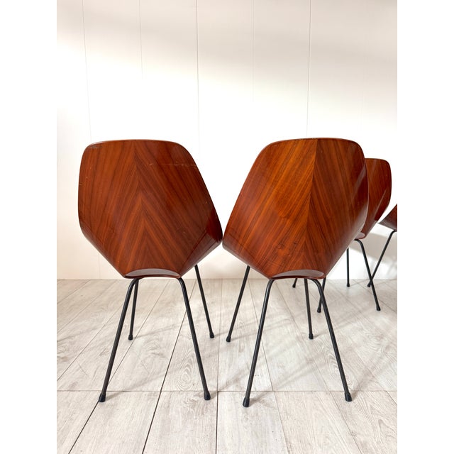 Vintage Medea Chairs by Vittorio Nobili for Fratelli Tagliabue, 1950s, Set of 6 For Sale - Image 11 of 15