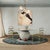 Contemporary Vela Dining Chair by Ömer Öztürk For Sale - Image 3 of 18