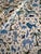 Schumacher Beasts Indoor/Outdoor Blue and Green Fabric 5 7/8 Yards Happy Menocal's Beasts Indoor/Outdoor is animated by a...