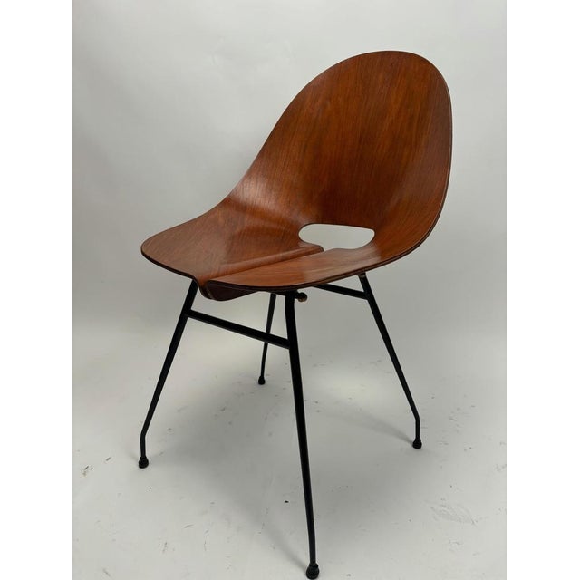 1950s Mid-Century Modern Bent Plywood Chairs by Carlo Ratti, Italy, 1950s, Set of 4 For Sale - Image 5 of 18