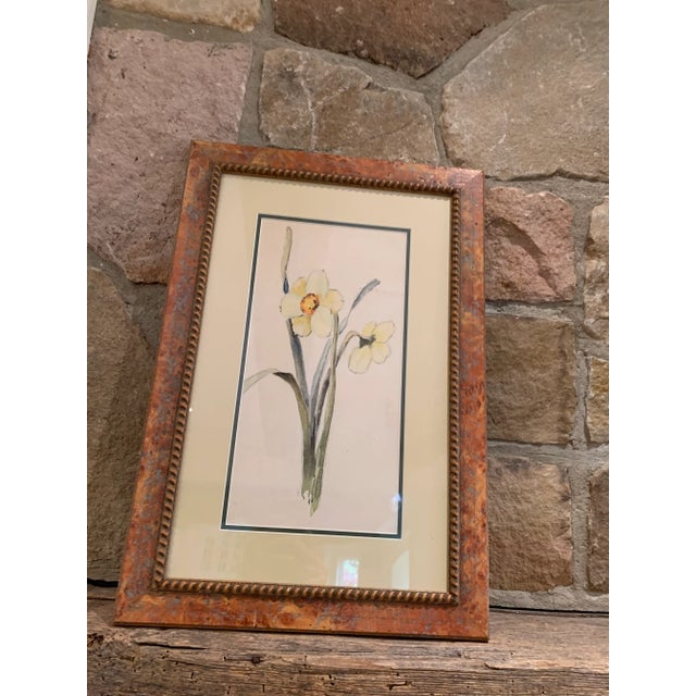 Early 20th Century Early 20th Century Vintage Framed Watercolor of Daffodils For Sale - Image 5 of 7